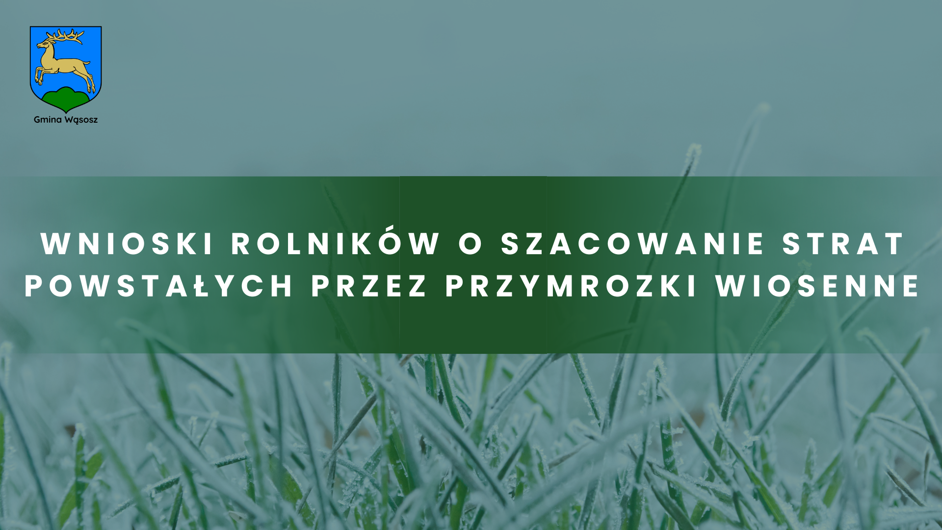 Ogłoszenie w sprawie przyjmowania wniosków o oszacowanie strat w uprawach rolnych spowodowanych przymrozkami wiosennymi